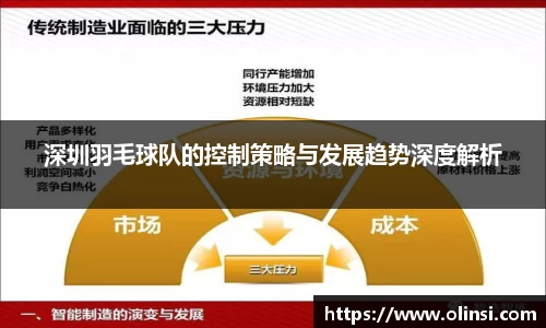 深圳羽毛球队的控制策略与发展趋势深度解析